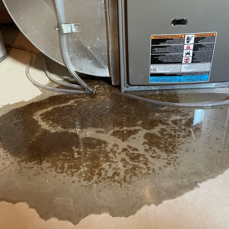 Pipe Burst and Leak Restoration in Kennebunkport, ME